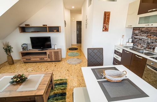 Siska District Apartment | City Modern and Vibrant Apartments Ljubljana - Standard One Bedroom Apartment