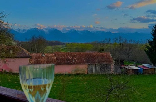 Dragus Villa | Conacul lui Radu
