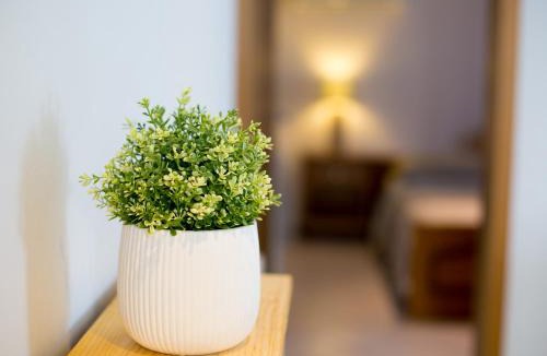 Brulo Apartment | Cosy studio apartment Poreč