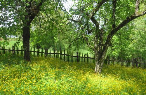 Gornja Stubica Apartment | Cottage on Hill