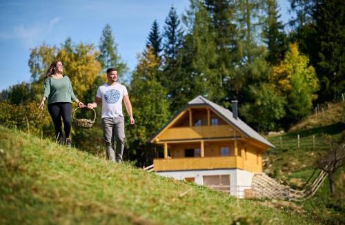 Solcava House | Cottage Osojnik - Alpine escape with Wellness