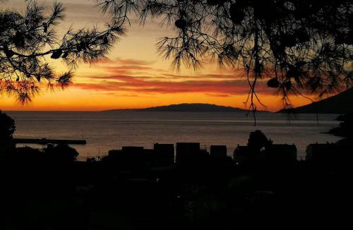 Zuljana Apartment | Dalmatia Paradise Apartments