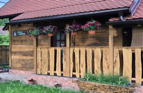 Sunja Ski Chalet | Divlja Orhideja