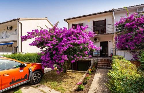 Zrce Apartment | Drazen Charming First Floor Apartment