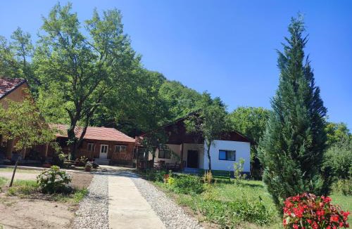 Pesteana House | Dumbrava Minunată
