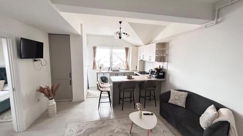 Radauti Apartment | DURU luxury property