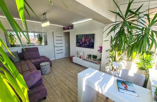 Fagaras Apartment | Elisa's Place