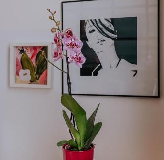 Donji Grad Apartment | Endless Chanson