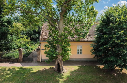 Ilok House | Enjoyable estate in charming Ilok with Danube views, wine and experiences