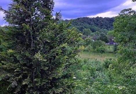 Branesti Villa | Fairy's Corner
