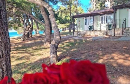 Novigrad Apartment | Family Bungalow Pineta