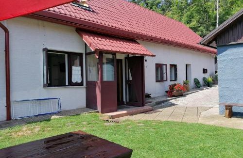 Lic Apartment | Family-friendly apartments with swimming pool Lic, Gorski kotar - 23685
