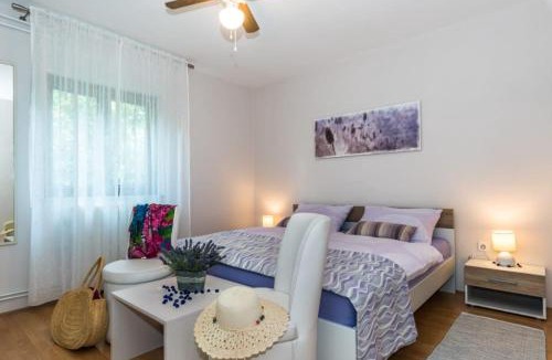 Rogocana House | Family house, apartment Yllo