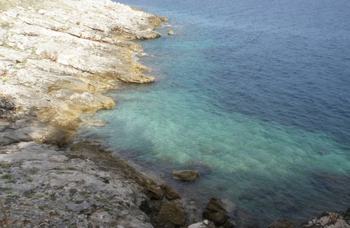 Postira Apartment | Fantastic view, right by the sea, pets welcome