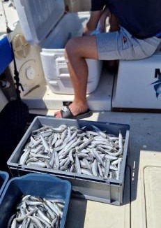 Primosten Boat Rental | Fishing Chatrer -Big game-izleti brodom