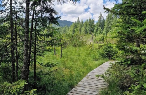 Goreljek Apartment | Forest Apartments Pokljuka - Two-bedroom with balcony