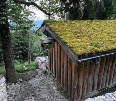 Gorenja vas-Poljane Villa | Forest eco-house & spa