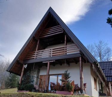 Nozicko House | Forest house ALEKSANDAR