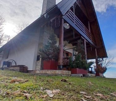 Nozicko House | Forest house ALEKSANDAR