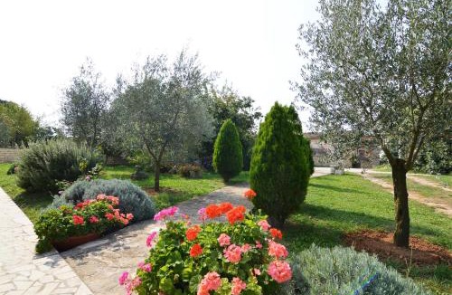 Flengi Apartment | Garden Apartment Maria