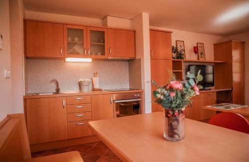 Vidrga Apartment | Gracarjeva domačija
