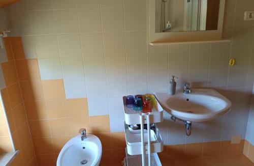 Sezana Apartment | Green view apartment