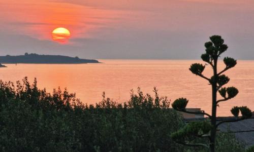 Soline House | Guesthouse Villa Ljubica