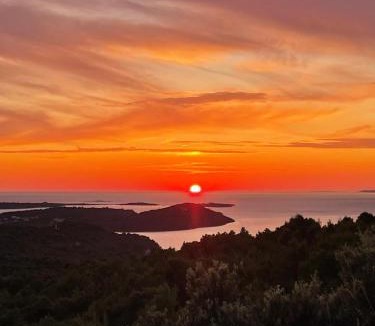 Soline House | Guesthouse Villa Ljubica