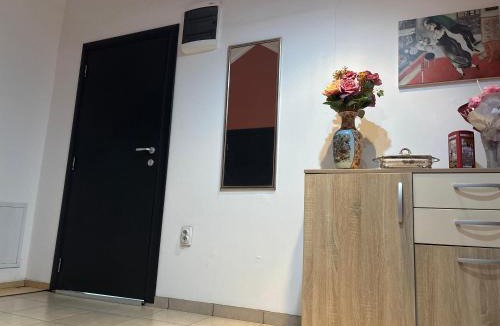 Surcin Apartment | Happy House