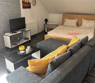 Surcin Apartment | Happy House