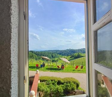Ormoz House | Herga Wine Estate - Nest above wine cellar - rooms