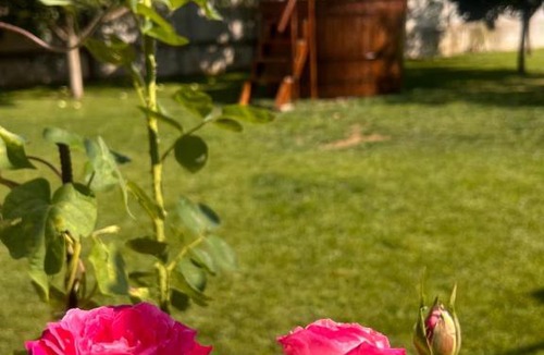Recas Villa | Herneacova Escape - Nature & Relax