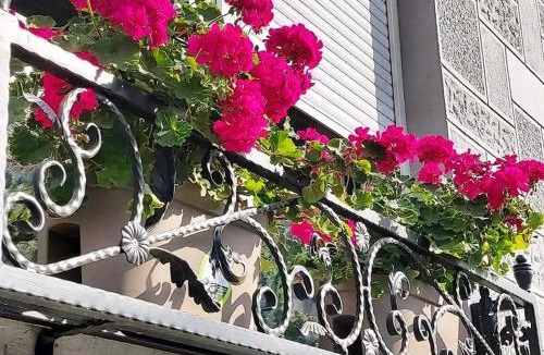 Vrsac Apartment | HILLS Apartments