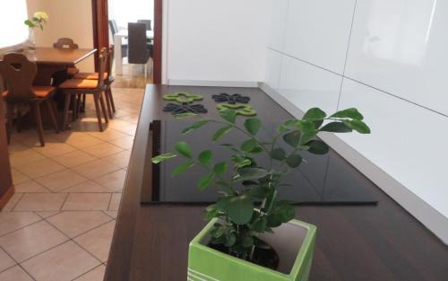 Kobarid Apartment | Hisa Lescer