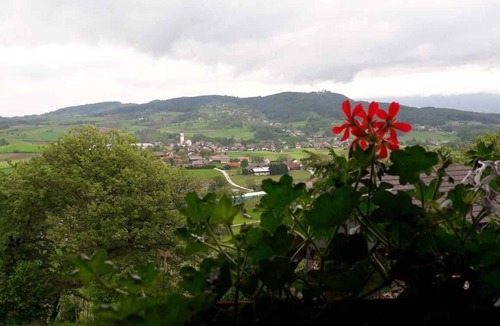 Gorenja Vas pri Smarjeti Apartment | Holiday apartment with air conditioning and panoramic view