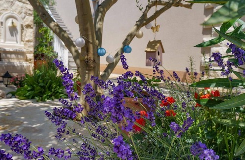 Vrsi House | Holiday apartment Vrsi for 2 persons with 1 bedroom - Holiday house