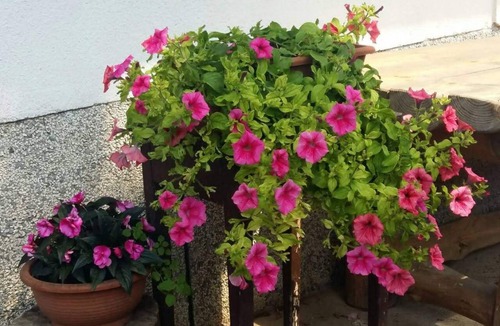 Susica Apartment | Holiday apartment With air conditioning