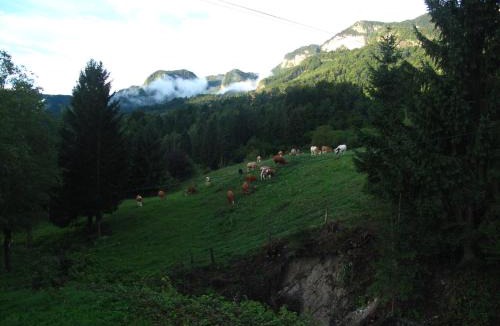 Bohinjska Bela House | Holiday Home Bela