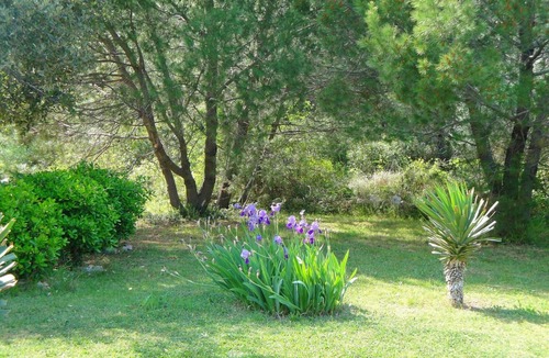 Susica House | Holiday home Božica, (15516), Ugljan, hr