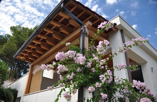 Milna (Brac) Villa | Holiday home Ida in quiet pine forest