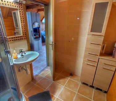 Dolenjske Toplice House | Holiday home in Dolenjske Toplice - Kranjska (Krain) 51092