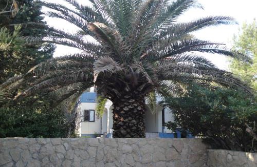 Susica House | Holiday Home Mirna
