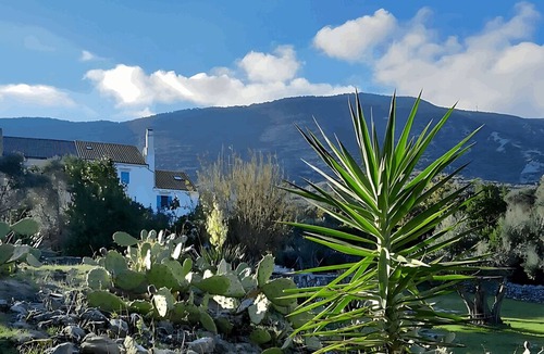 Nerezine Villa | Holiday Home Sea View Garden Terrace 10 Guests Dog Friendly Losinj