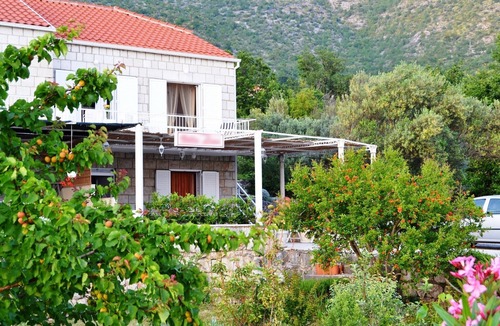 Brsecine House | Holiday home Zdravko, (11560), Brsecine, hr