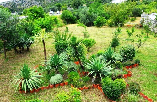 Brsecine House | Holiday home Zdravko, (11560), Brsecine, hr