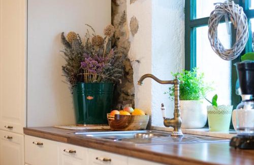 Banj Villa | Holiday house Šokotini dvori