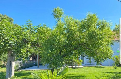 Sukosan Villa | Holiday House Lucia