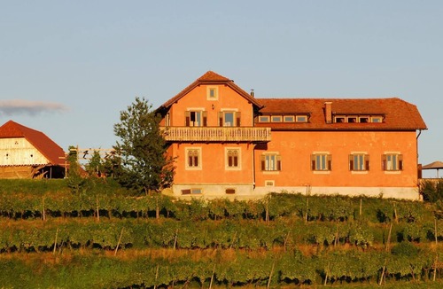 Videm House | Holiday house Ptuj for 1 - 12 persons with 4 bedrooms - Holiday house