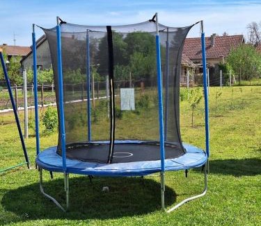 Borovo House | Holiday house with a parking space Vukovar, Slavonija - 22809