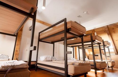 Novo Mesto Hostel | Hostel Situla